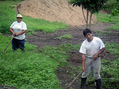 Zwei Arbeiter auf gerodetem Feld