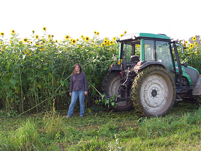 Frau vor Sonnenblumenfeld