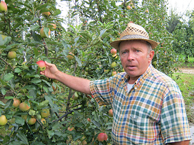 © Bio mit Gesicht Betriebsleiter in Apfelplantage