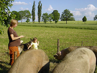 Frau mit Kleinkind am Rand der Schweineweide