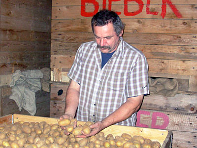 Betriebsleiter vor Kartoffelkiste