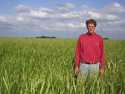 Mann in Getreidefeld