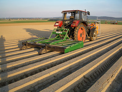 Traktor mit Abflammger�t auf M�hrenkulturen