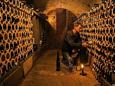 Weinkeller Weingut Hahnm�hle