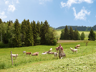 © Feneberg/Bio mit Gesicht Betriebsleiter mit Rinderherde