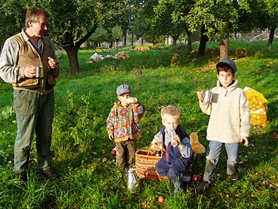 Mann mit Kindern bei Streuobsternte