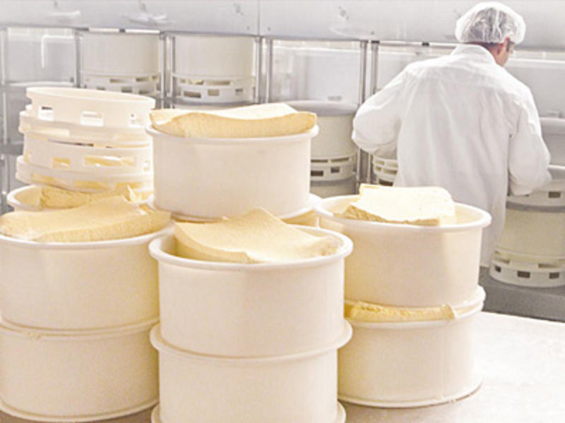 Allgäu Milch Käse eG