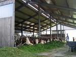 © Bio mit Gesicht Futtertisch mit Schubkarre