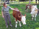 Frau mit Kälbern